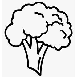 Dibujo de Brócoli con cabeza abultada para colorear