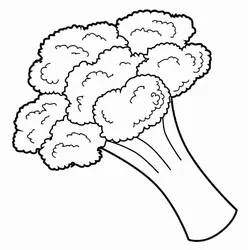 Dibujo de Brócoli con tallo grueso para colorear