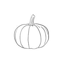 Dibujo de Calabaza en gajos con tallo grueso para colorear Dibujo de Calabaza en gajos con tallo grueso para colorear