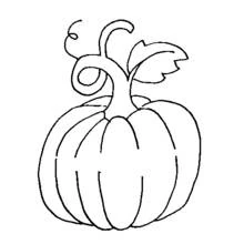Dibujo de Calabaza con zarcillo y hoja para colorear