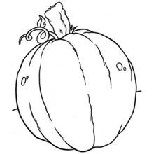 Dibujo de Calabaza con manchas ovaladas y hoja para colorear