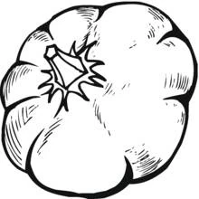 Dibujo de Calabaza vista desde arriba para colorear