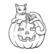 Dibujo de Calabaza con un gato encima para colorear Dibujo de Calabaza con un gato encima para colorear