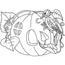 Dibujo de Calabaza casa con un pájaro posado encima para colorear