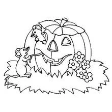 Dibujo de Calabaza rodeada de dos ratones curiosos para colorear Dibujo de Calabaza rodeada de dos ratones curiosos para colorear