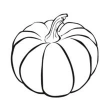 Dibujo de Calabaza con un tallo curvado para colorear Dibujo de Calabaza con un tallo curvado para colorear