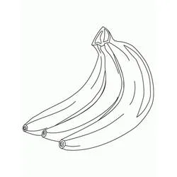 Dibujo de Plátano en racimo para colorear