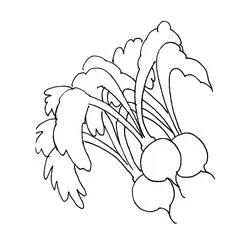 Dibujo de Tres rábanos rosados con hojas verdes para colorear