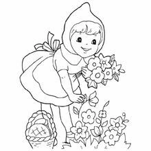 Dibujo de Caperucita Roja recogiendo flores para colorear