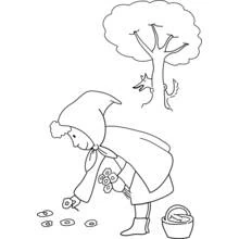 Dibujo de Caperucita Roja recogiendo flores cerca del lobo escondido para colorear
