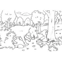 Dibujo de Caperucita Roja caminando con el lobo en el bosque para colorear