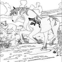 Dibujo de Thunder caminando por un prado con un zorro para colorear
