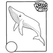Dibujo de Go Diego! ballena jorobada nadando para colorear