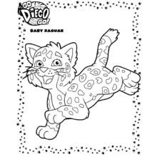 Dibujo de Baby Jaguar jugando alegremente para colorear