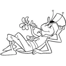 Dibujo de Amigo de la Abeja Maya recostado con una margarita para colorear
