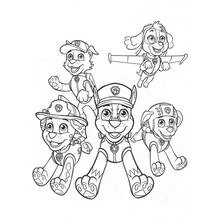 Dibujo de Paw Patrol cachorros reunidos para colorear