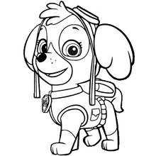 Dibujo de Skye de Paw Patrol con gafas de aviador para colorear