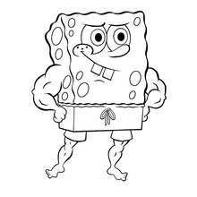 Dibujo de SpongeBob SquarePants con brazos musculosos para colorear Dibujo de SpongeBob SquarePants con brazos musculosos para colorear