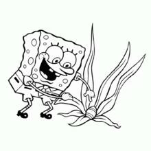 Dibujo de SpongeBob SquarePants junto a las algas para colorear Dibujo de SpongeBob SquarePants junto a las algas para colorear
