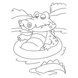 Dibujo de Cocodrilo flotando en un flotador para colorear