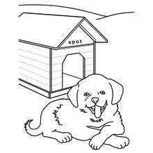 Dibujo de Perro tumbado frente a su caseta de perro llamada Spot para colorear