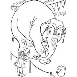 Dibujo de Niña y elefante de circo para colorear