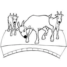 Dibujo de Puente cruzado por tres cabras para colorear