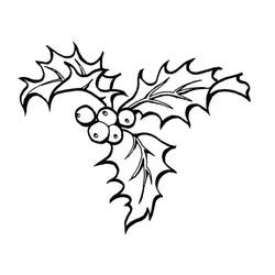 Acebo de Navidad - Dibujos para colorear gratis
