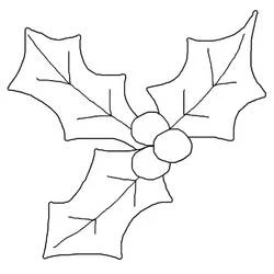 Dibujo de Acebo de Navidad con tres hojas y bayas para colorear Dibujo de Acebo de Navidad con tres hojas y bayas para colorear