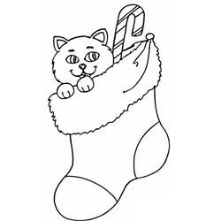 Dibujo de Gato en calcetín de Navidad para colorear