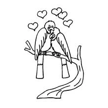 Dibujo de Pájaros enamorados besándose en una rama para colorear