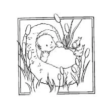 Dibujo de Bebé en una cesta entre juncos para colorear