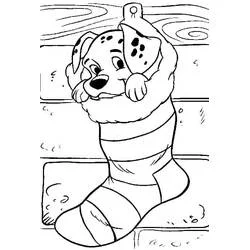 Dibujo de Dálmata asomando desde un calcetín a rayas para colorear