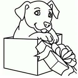Dibujo de Regalo con un cachorro dentro de la caja para colorear