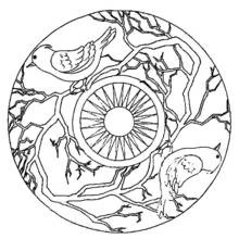 Dibujo de Mandala con aves posadas en ramas para colorear Dibujo de Mandala con aves posadas en ramas para colorear