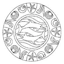 Dibujo de Mandala de delfines con conchas y estrellas de mar para colorear Dibujo de Mandala de delfines con conchas y estrellas de mar para colorear