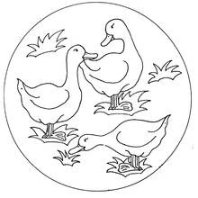 Dibujo de Mandala con tres patos en la hierba para colorear Dibujo de Mandala con tres patos en la hierba para colorear