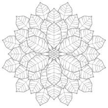 Dibujo de Mandala de pétalos en forma de hojas para colorear