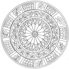 Dibujo de Mandala de flor con borde estrellado y motivos para colorear