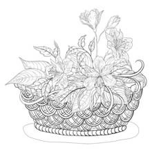 Dibujo de Cesta de flores con trenzado detallado para colorear