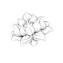 Dibujo de Flor de loto mandala en plena flor para colorear