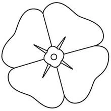 Dibujo de Amapola con cuatro grandes pétalos para colorear