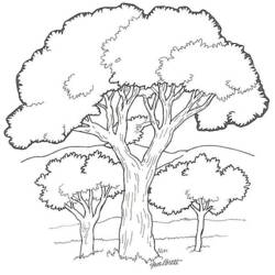 Dibujo de Árbol grande de copa redondeada en un paisaje para colorear