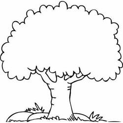 Dibujo de Árbol de copa redondeada para colorear