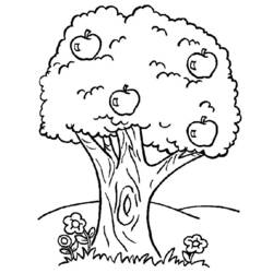 Dibujo de Árbol con cinco manzanas y flores para colorear