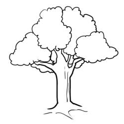 Dibujo de Árbol con copa redondeada y frondosa para colorear