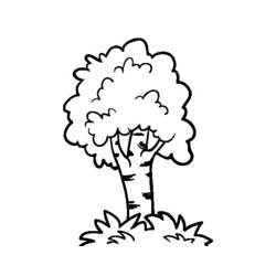 Dibujo de Árbol de copa redondeada para colorear