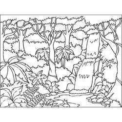 Bosque - Dibujos para colorear gratis