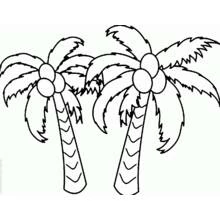 Cocotero - Dibujos para colorear gratis