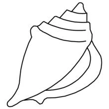 Dibujo de Concha con punta en espiral para colorear